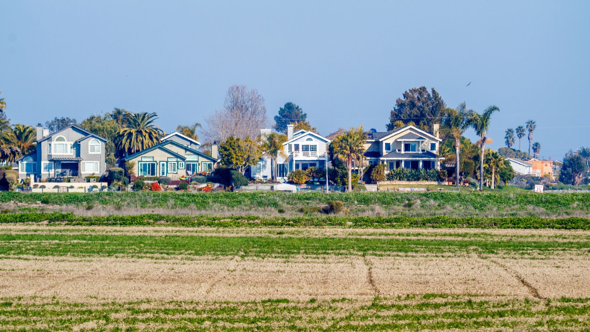 A picturesque view of suburban homes lined up beyond an expansive grass field on a clear day in Torrance, CA