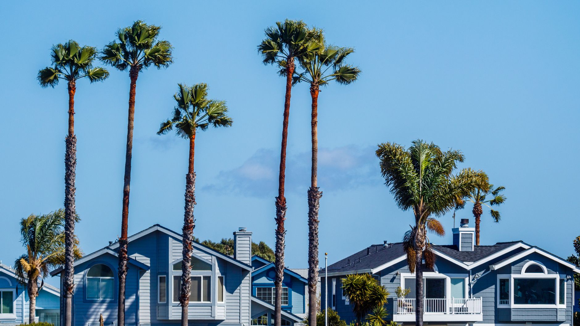 Serene seaside neighborhood with palm trees and charming houses under a clear blue sky in Torrance, CA