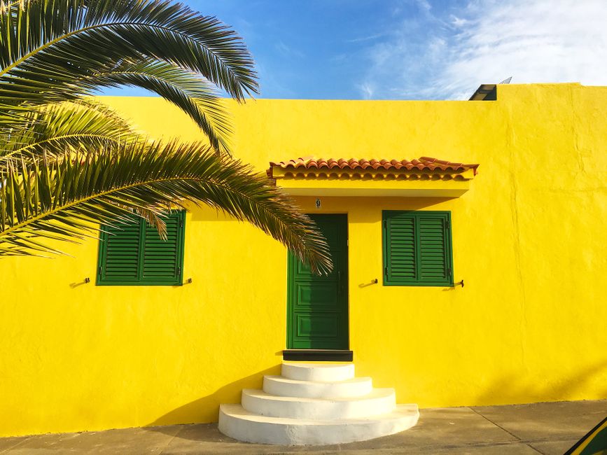 Yellow house facade with green shutters and a palm tree.